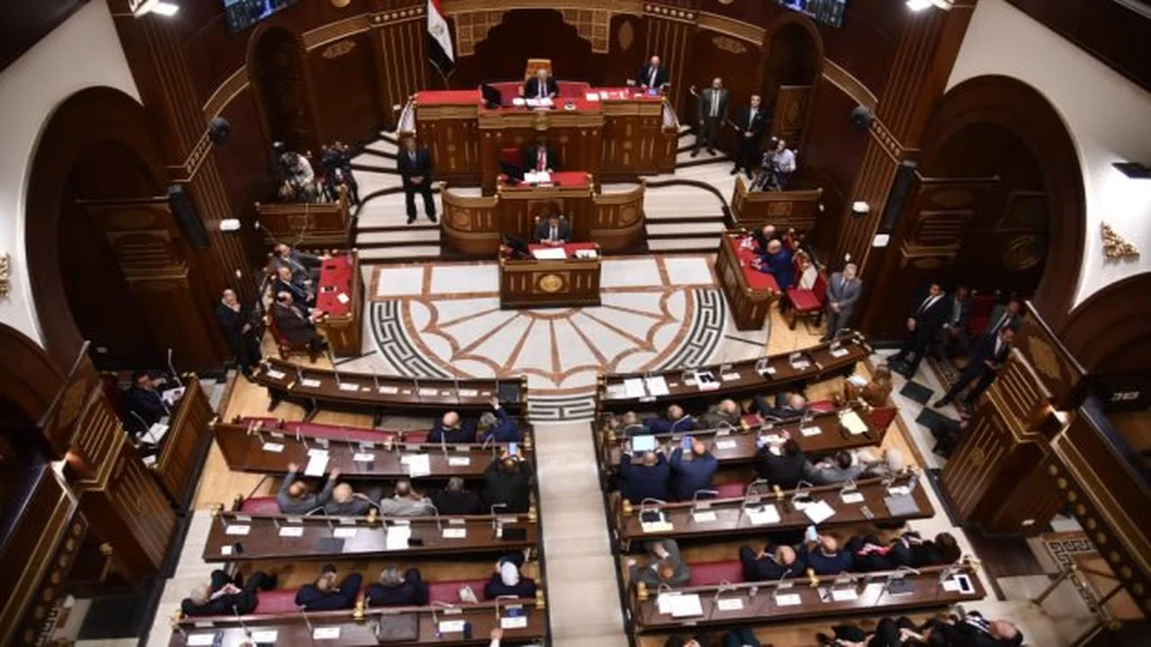 ميرال الهريدي: كلمة الرئيس في يوم إفريقيا تعكس قيادة مصر التنموية